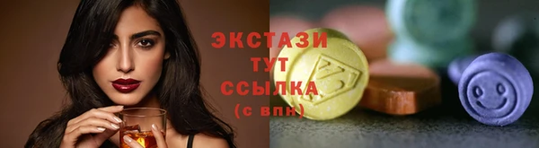 прущий лед Вязьма