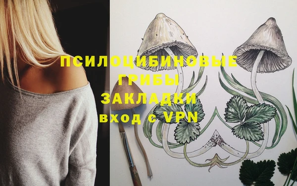 прущий лед Вязьма